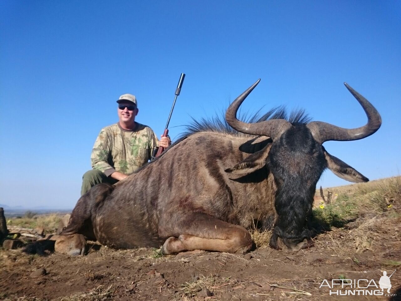 Blue Wildebeest Hunting in South Africa