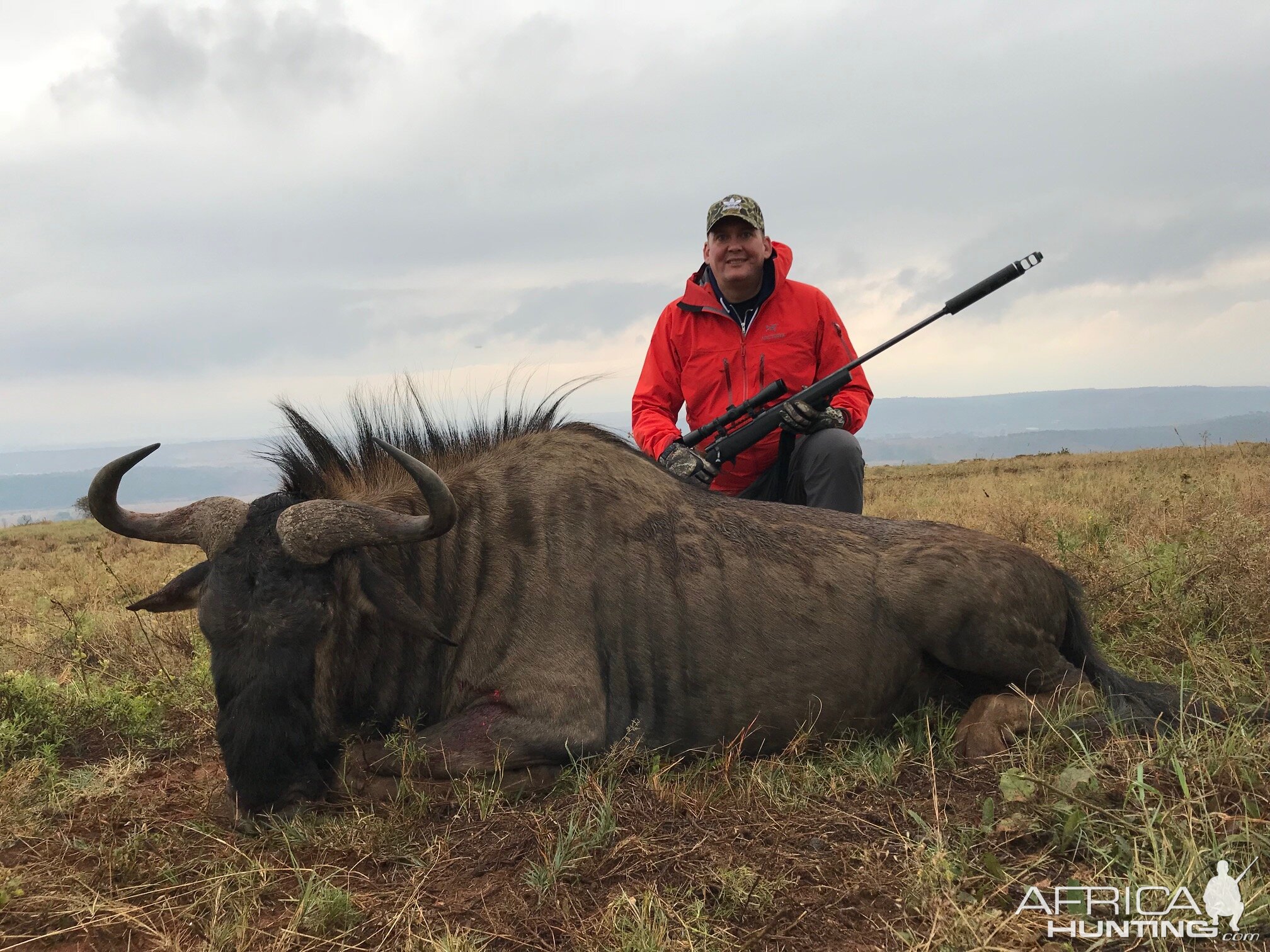 Blue Wildebeest Hunting in South Africa