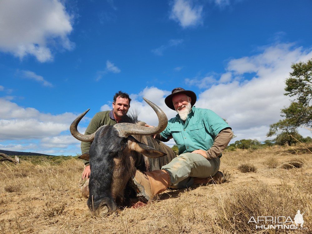 Blue Wildebeest Hunting South Africa