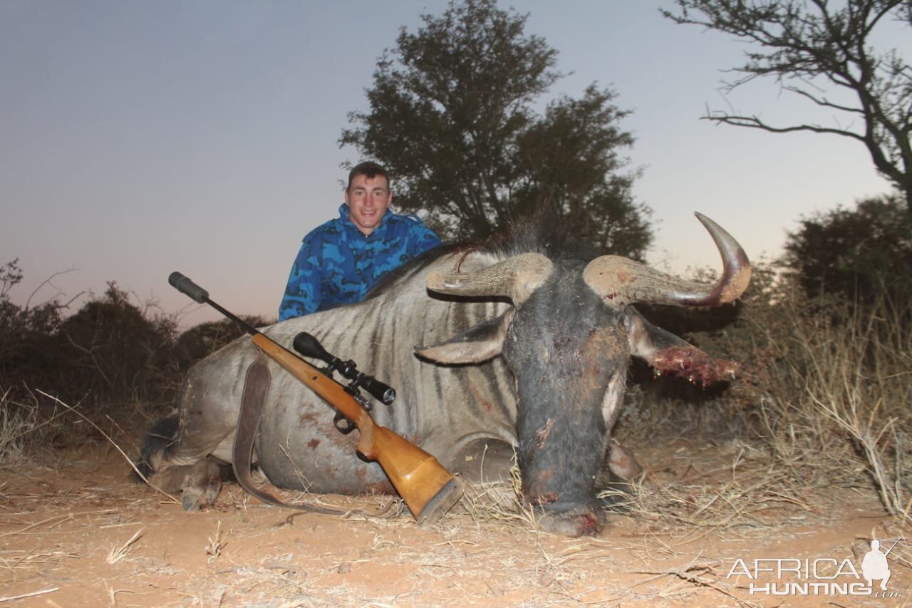 Blue Wildebeest Hunting South Africa