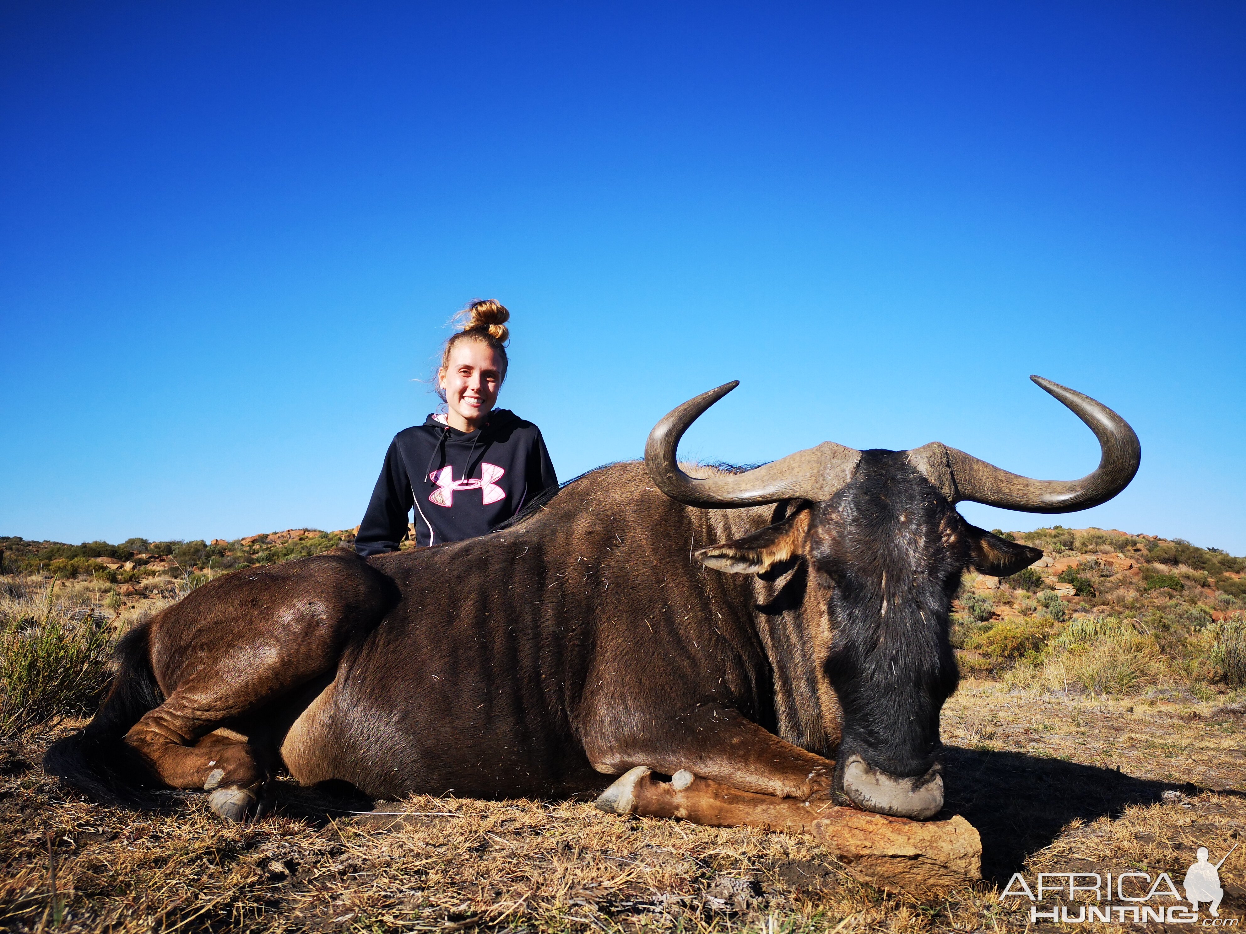 Blue Wildebeest Hunting South Africa