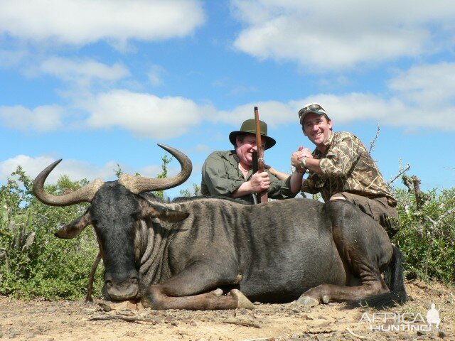 Blue Wildebeest Hunting