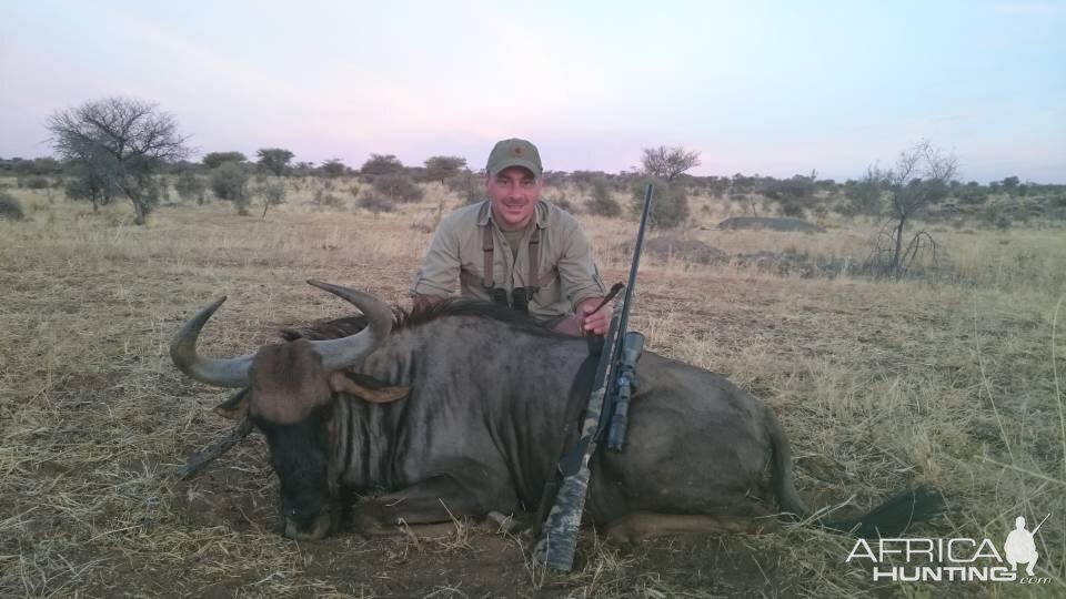 Blue Wildebeest Hunting