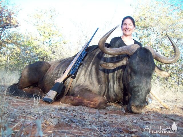 Blue Wildebeest Hunting