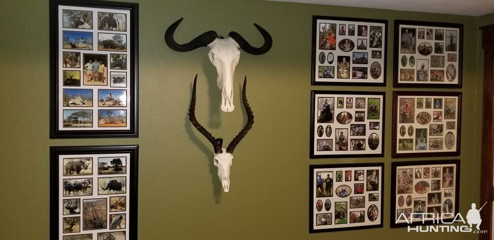 Blue Wildebeest & Impala Shoulder Mount Taxidermy