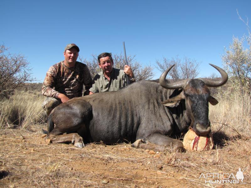 Blue Wildebeest Namibia Hunt