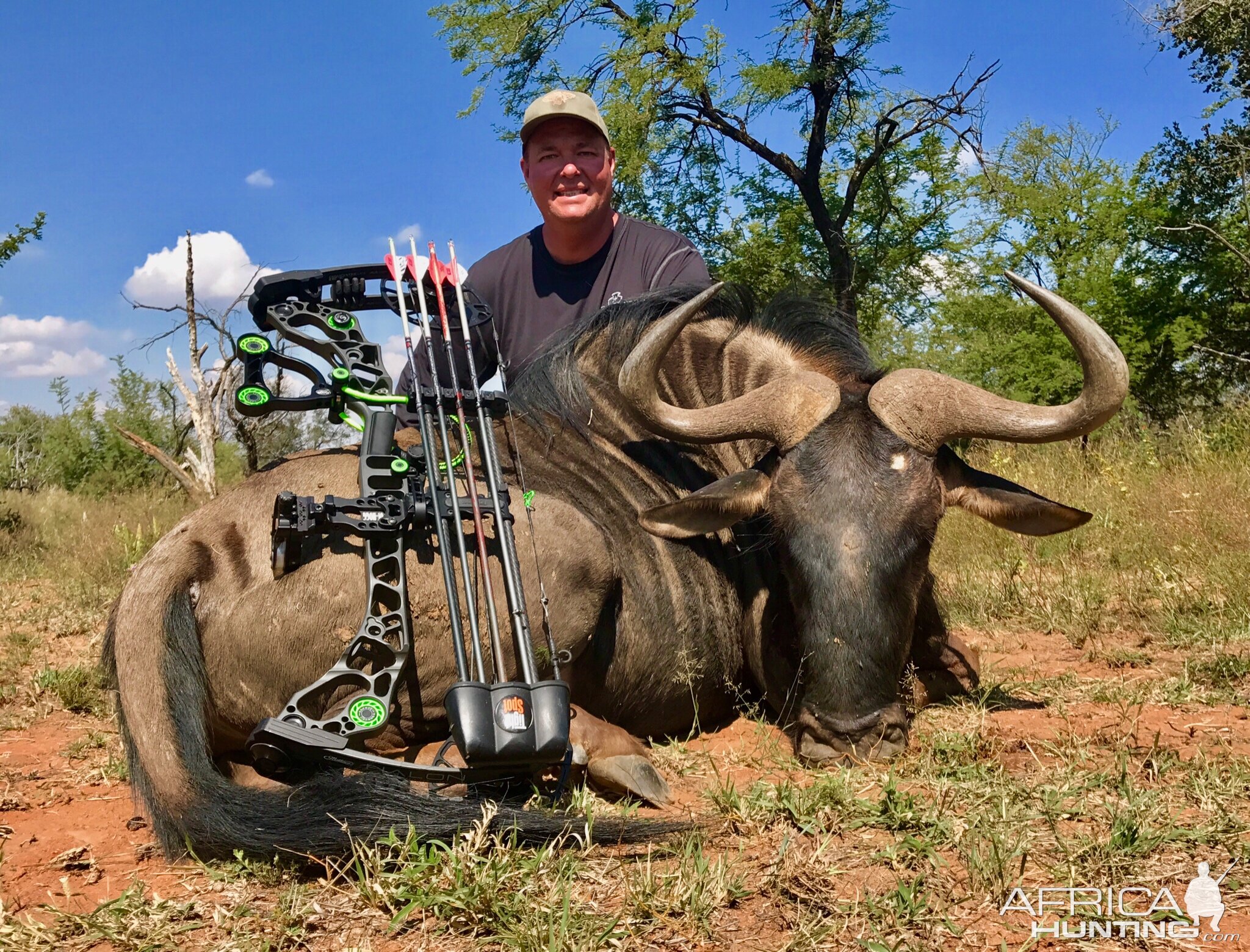 Blue Wildebeest South Africa  Bow Hunting