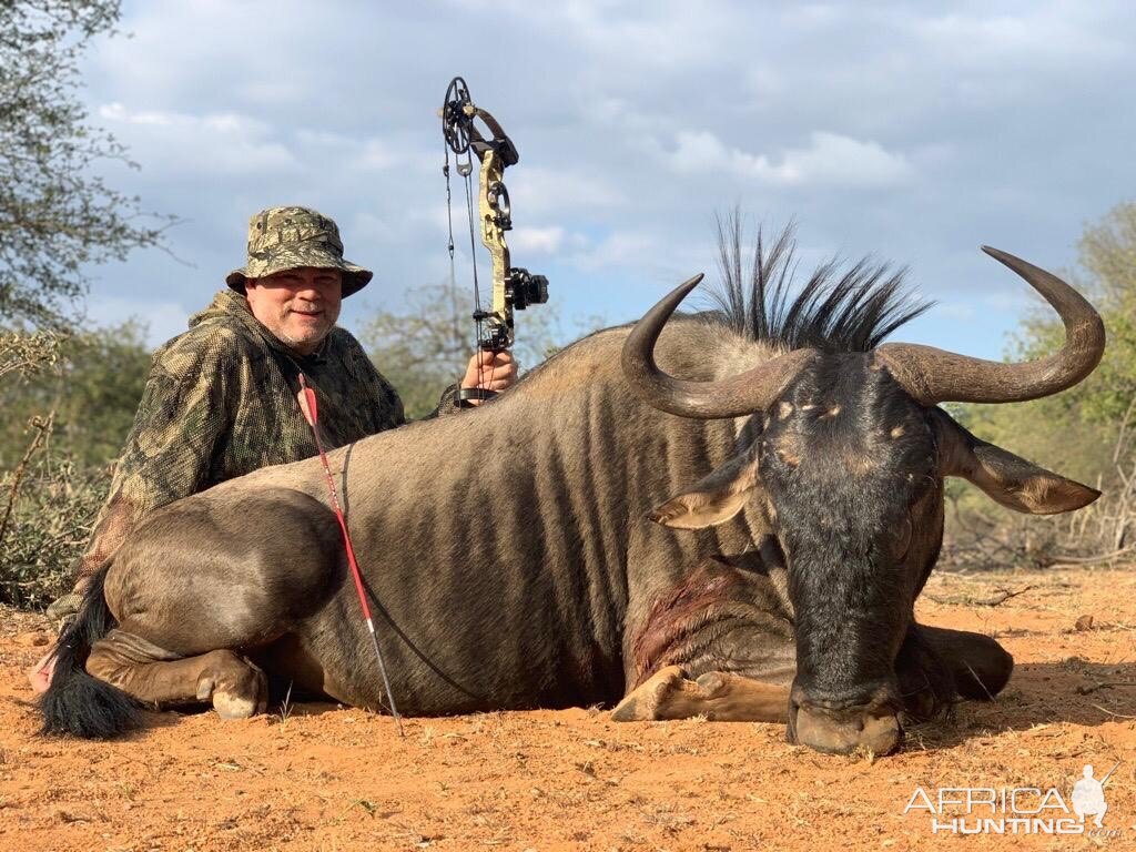 Blue Wildebeest with one of our loyal clients