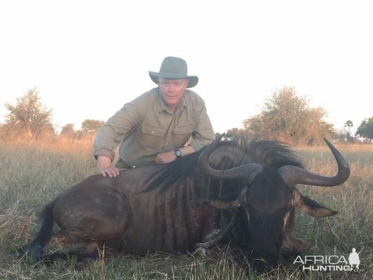 Blue Wildebeest Zimbabwe Hunting