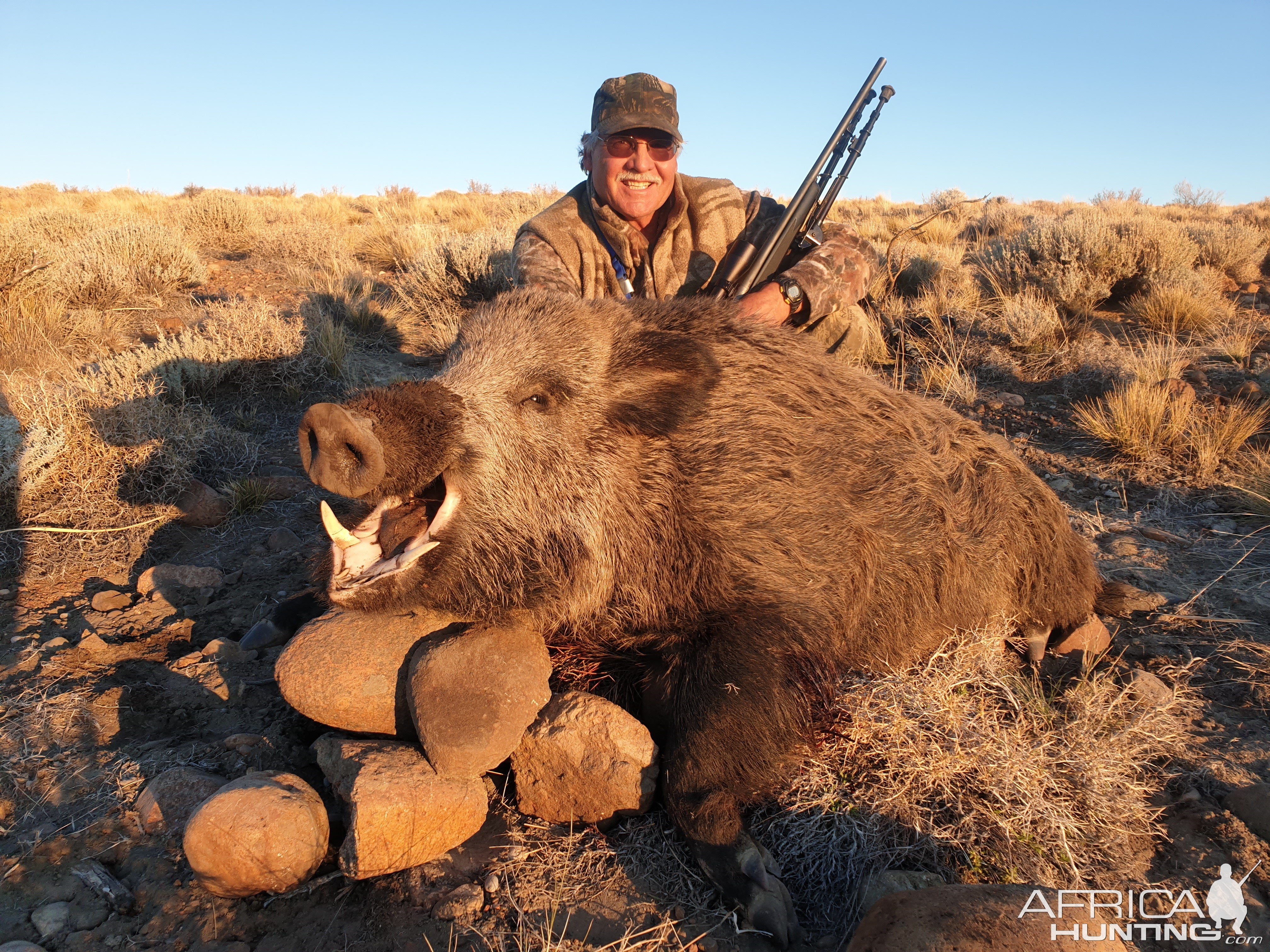 Boar Hunt Argentina