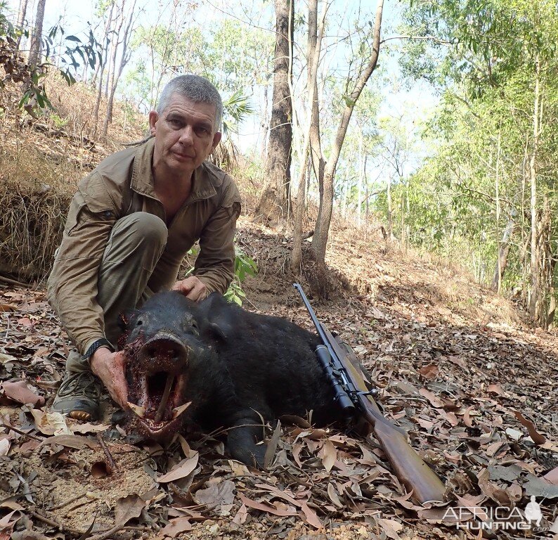 Boar Hunt Australia