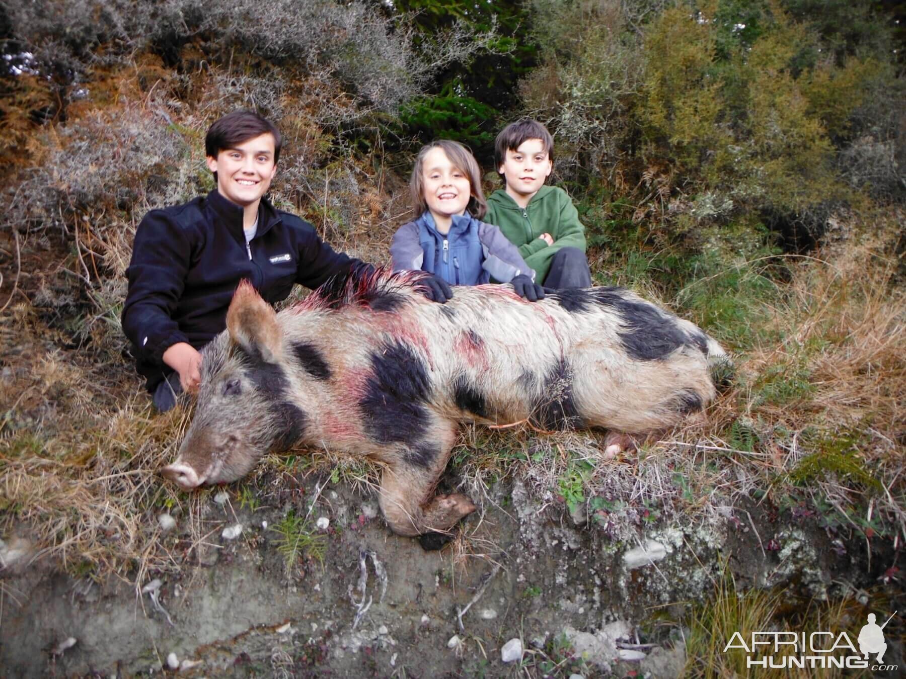 Boar Hunt New Zealand