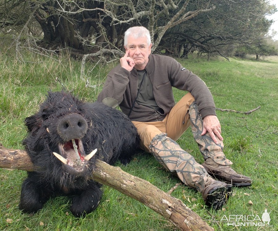 Boar Hunting Argentina