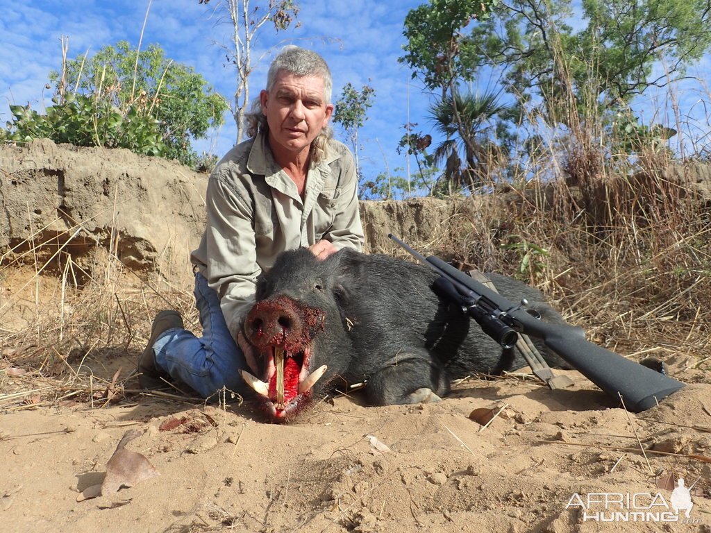 Boar Hunting Australia