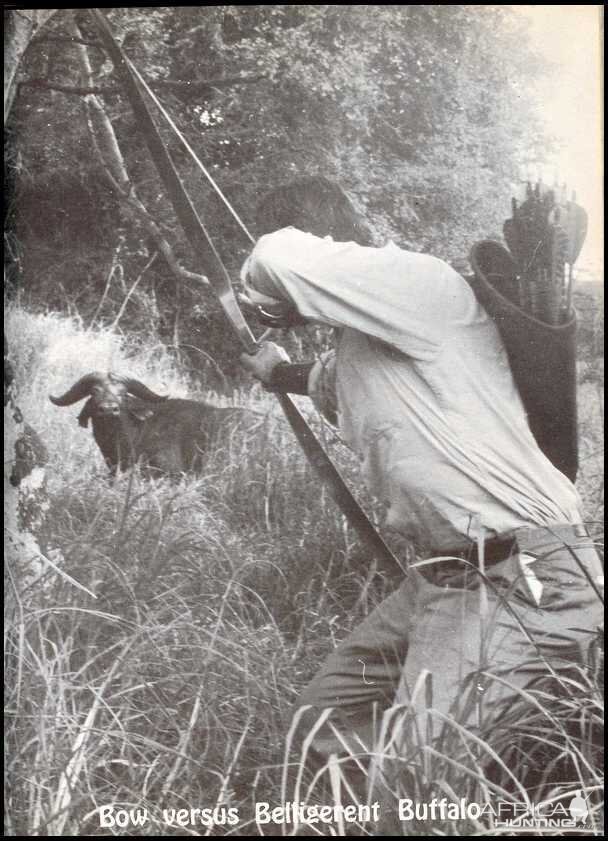 Bob Swinehart Bow Hunting Buffalo