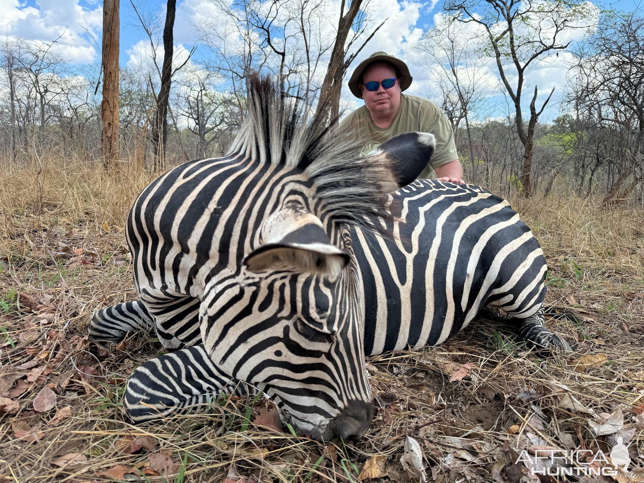 Boehm’s Zebra Hunt Mozambique