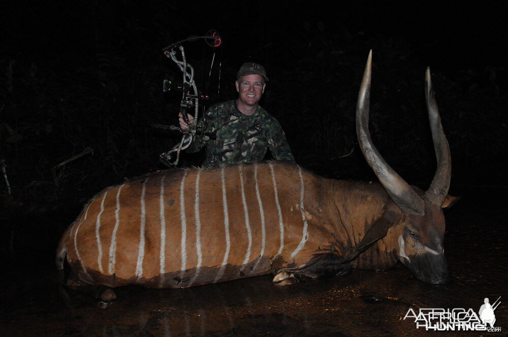 Bongo hunt with CAWA in CAR