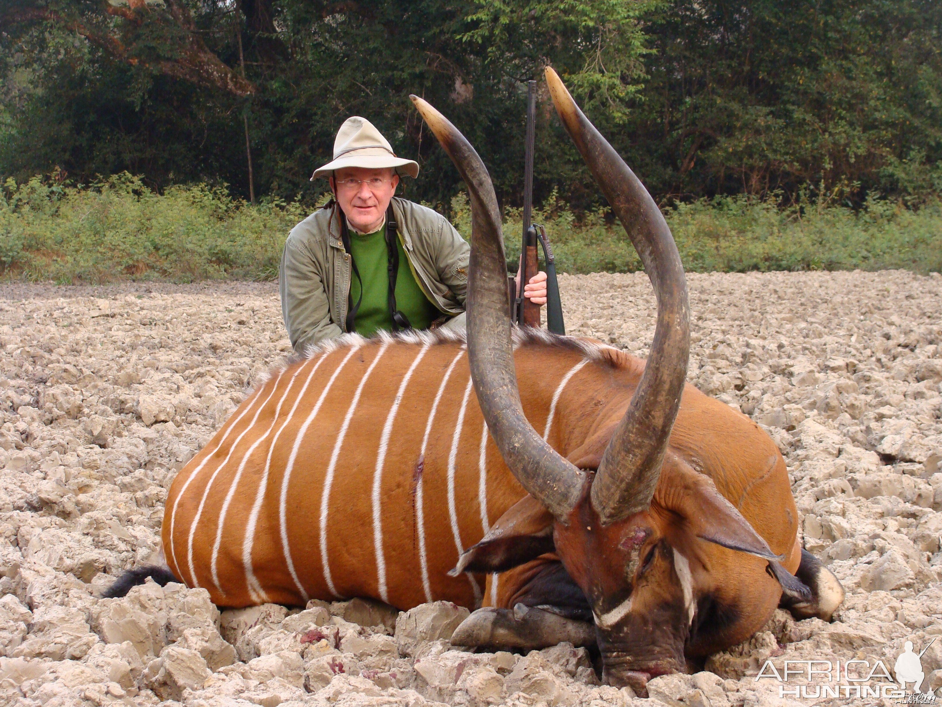 Bongo hunted in CAR with Central African Wildlife Adventures