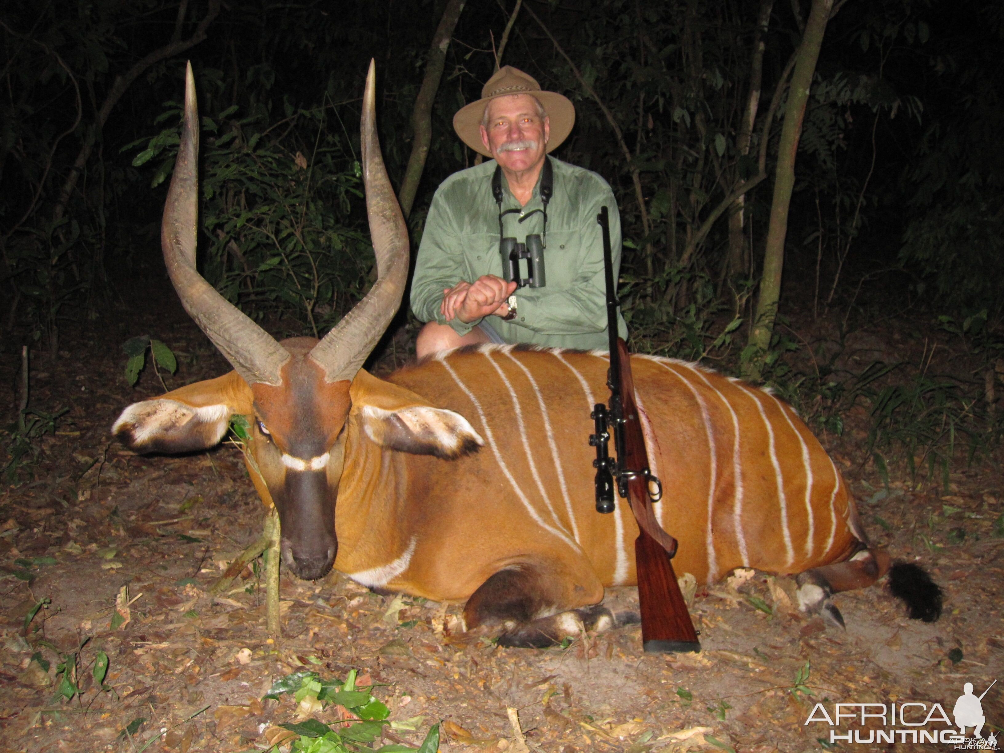 Bongo hunted in Central Africa with Club Faune