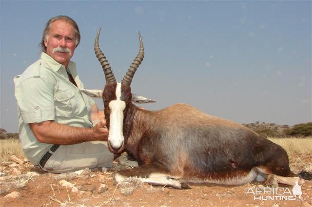 Bontebok