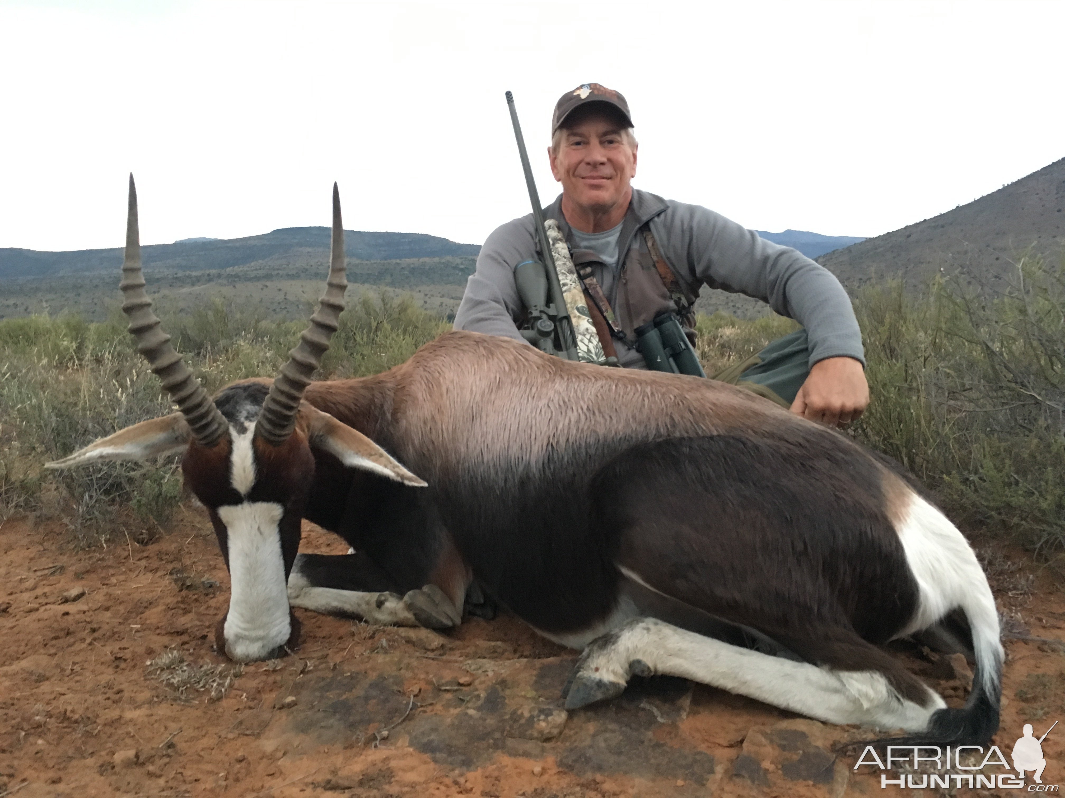 Bontebok