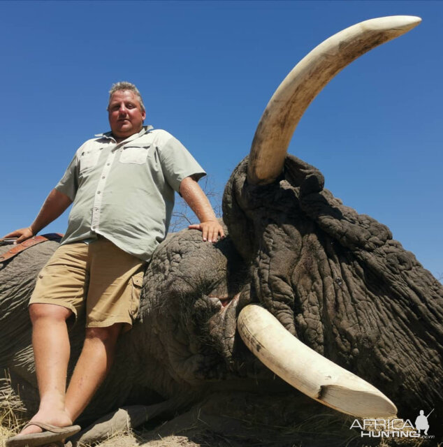 Elephant Hunt Botswana NG49 From April To September 2021