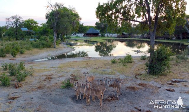 Botswana Scenery