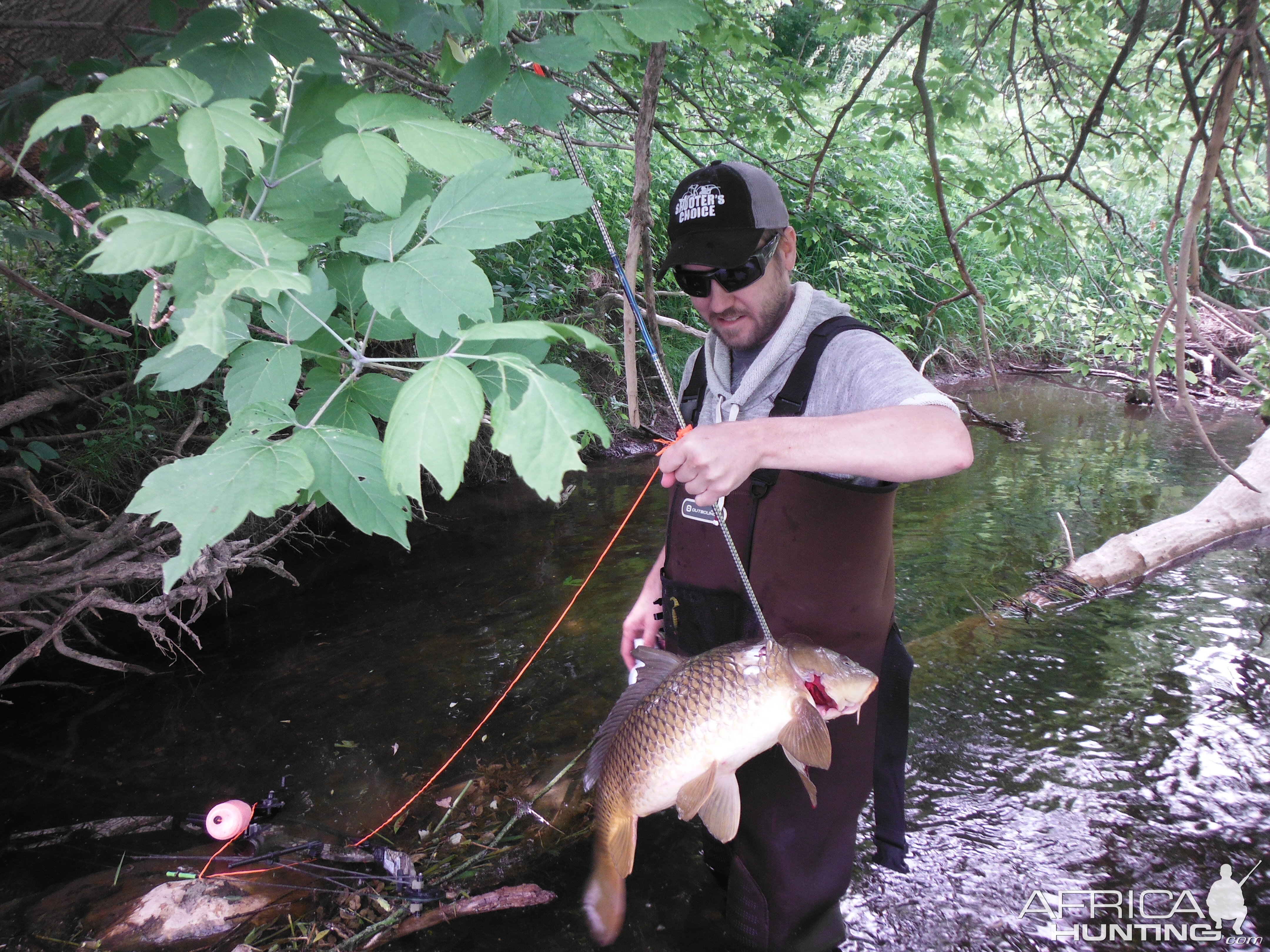 Bow Fishing Carp