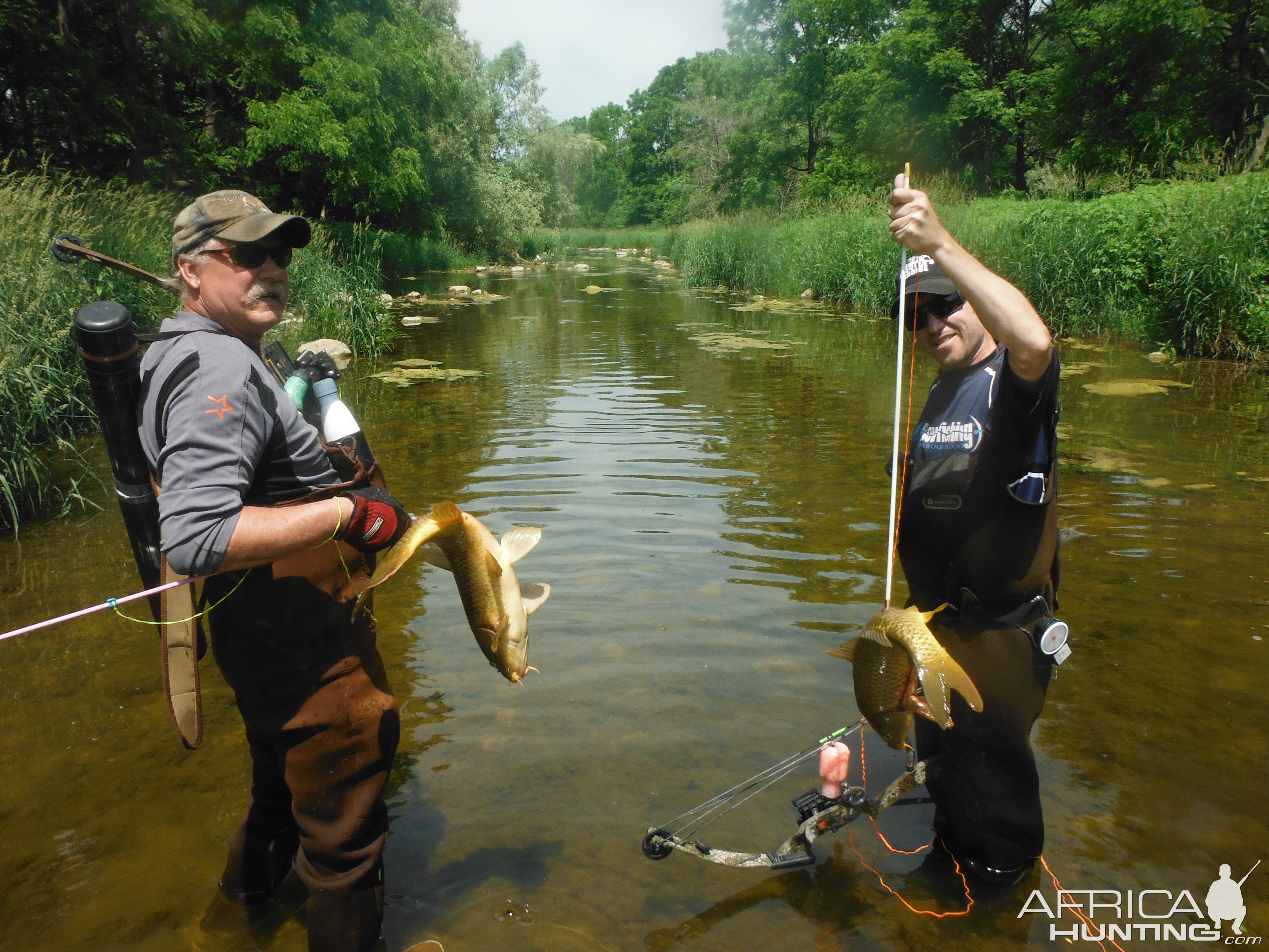 Bow Fishing Carp