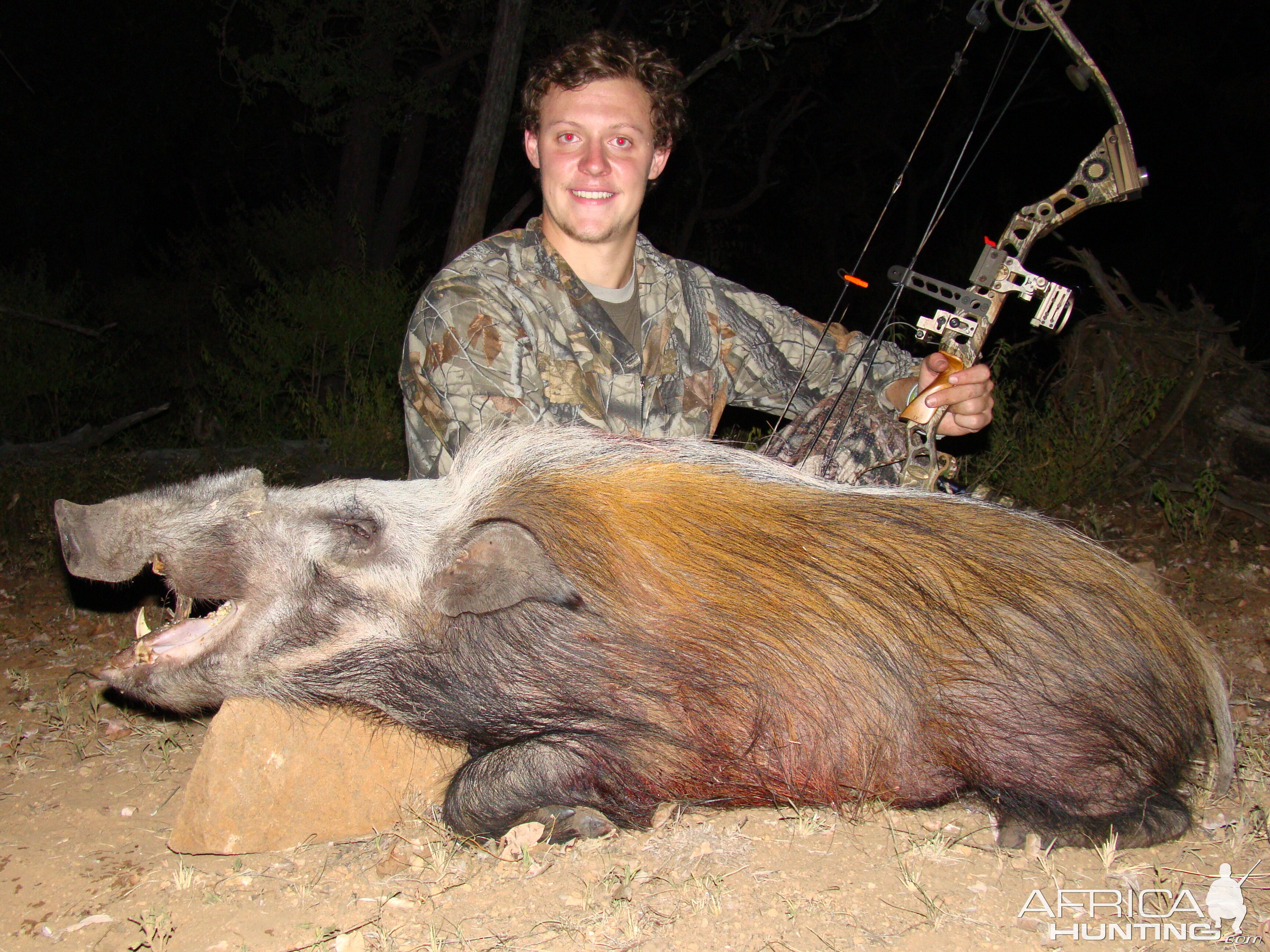 Bow Hunt Bushpig in South Africa