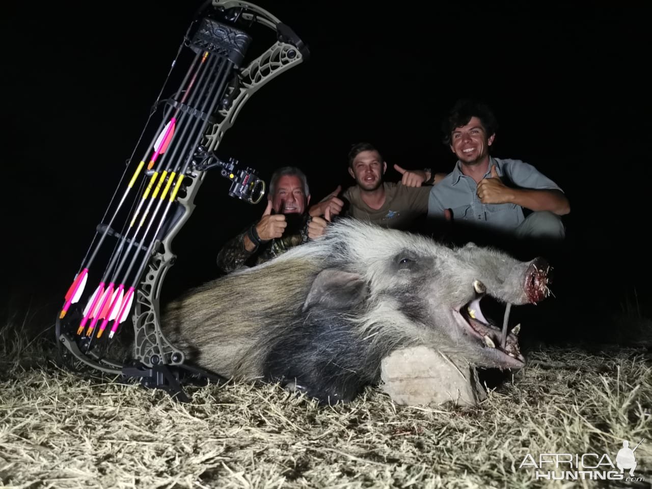 Bow Hunt Bushpig