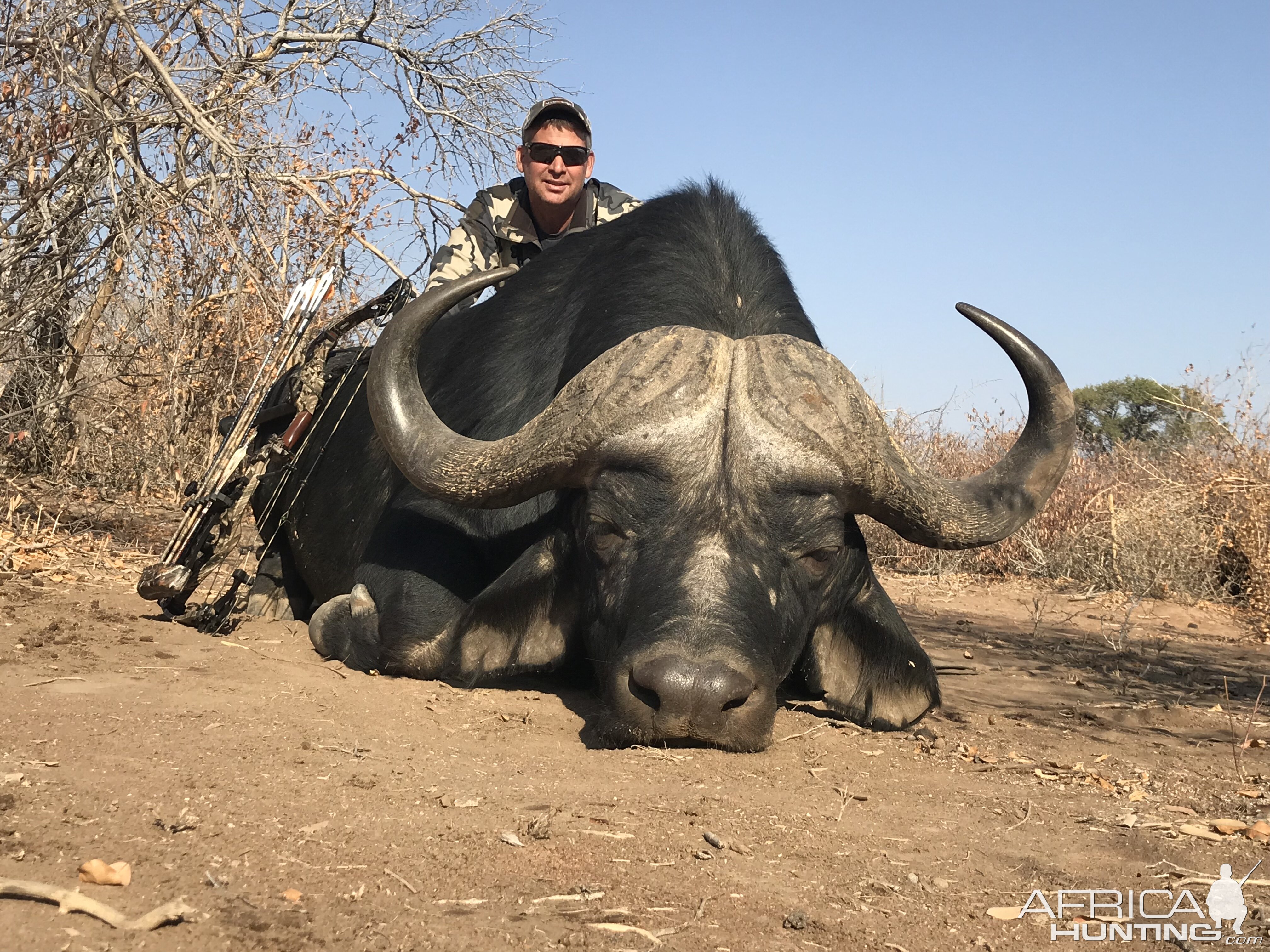 Bow Hunt Cape Buffalo in South Africa