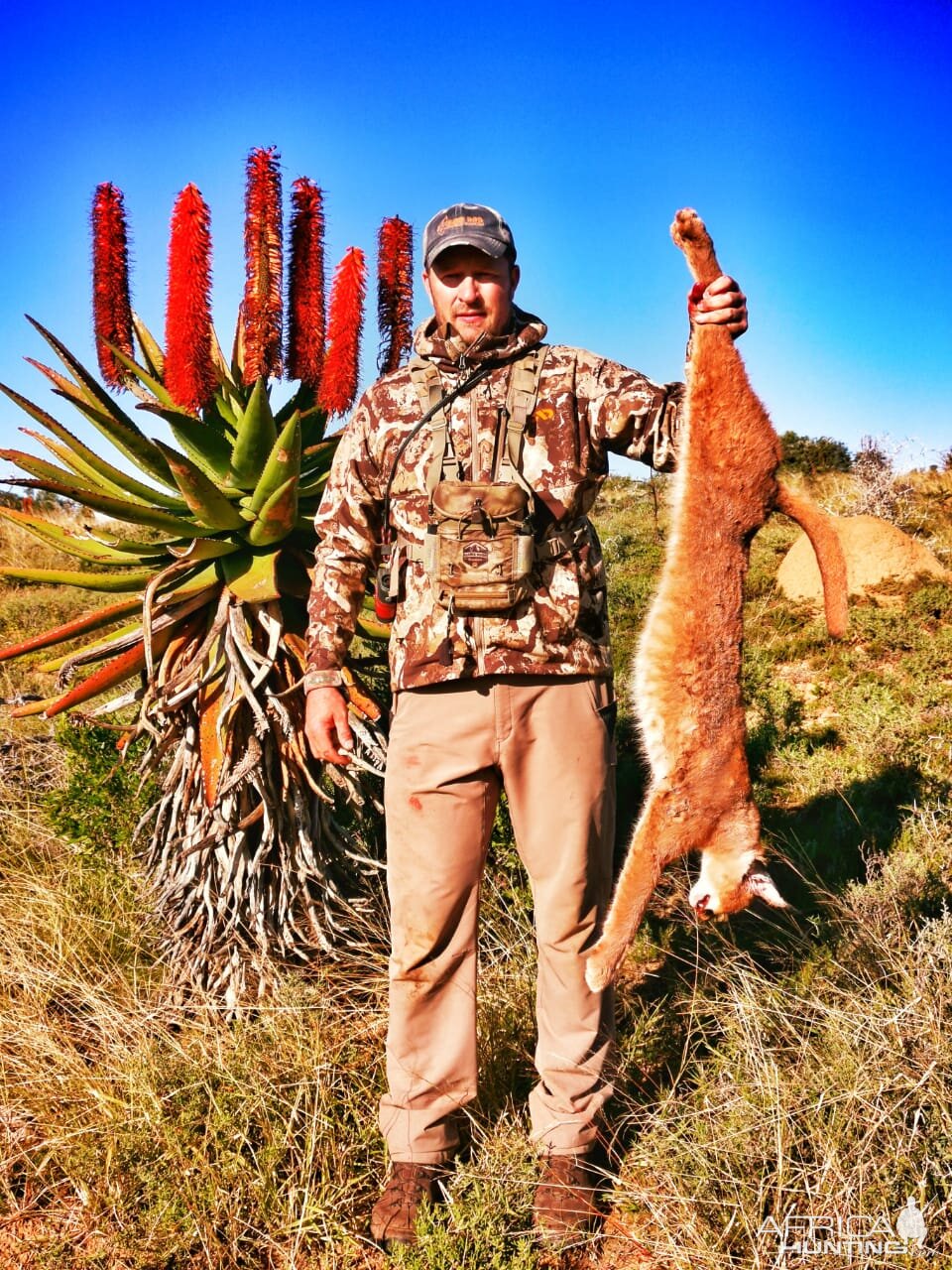 Bow Hunt Caracal in South Africa