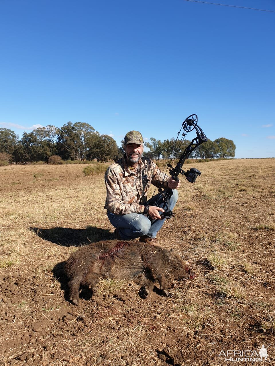 Bow Hunt European Wild Boar in South Africa