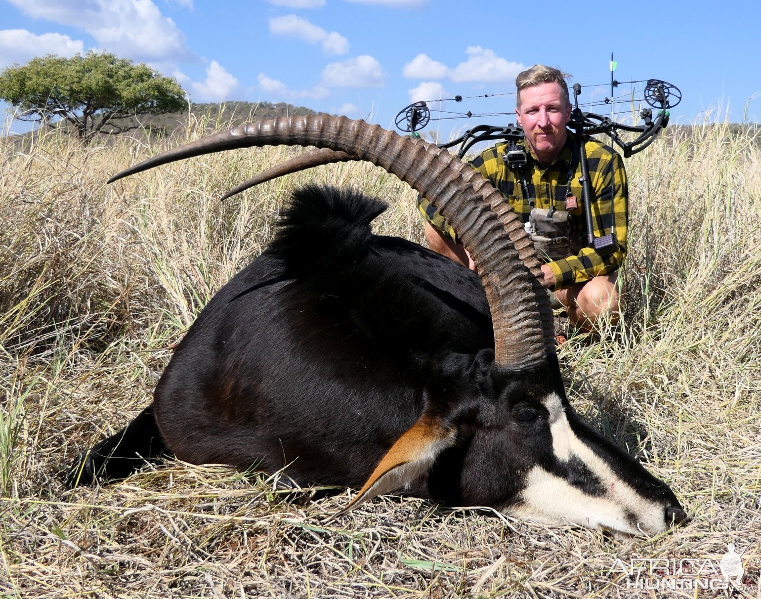 Bow Hunt Sable Antelope in South Africa