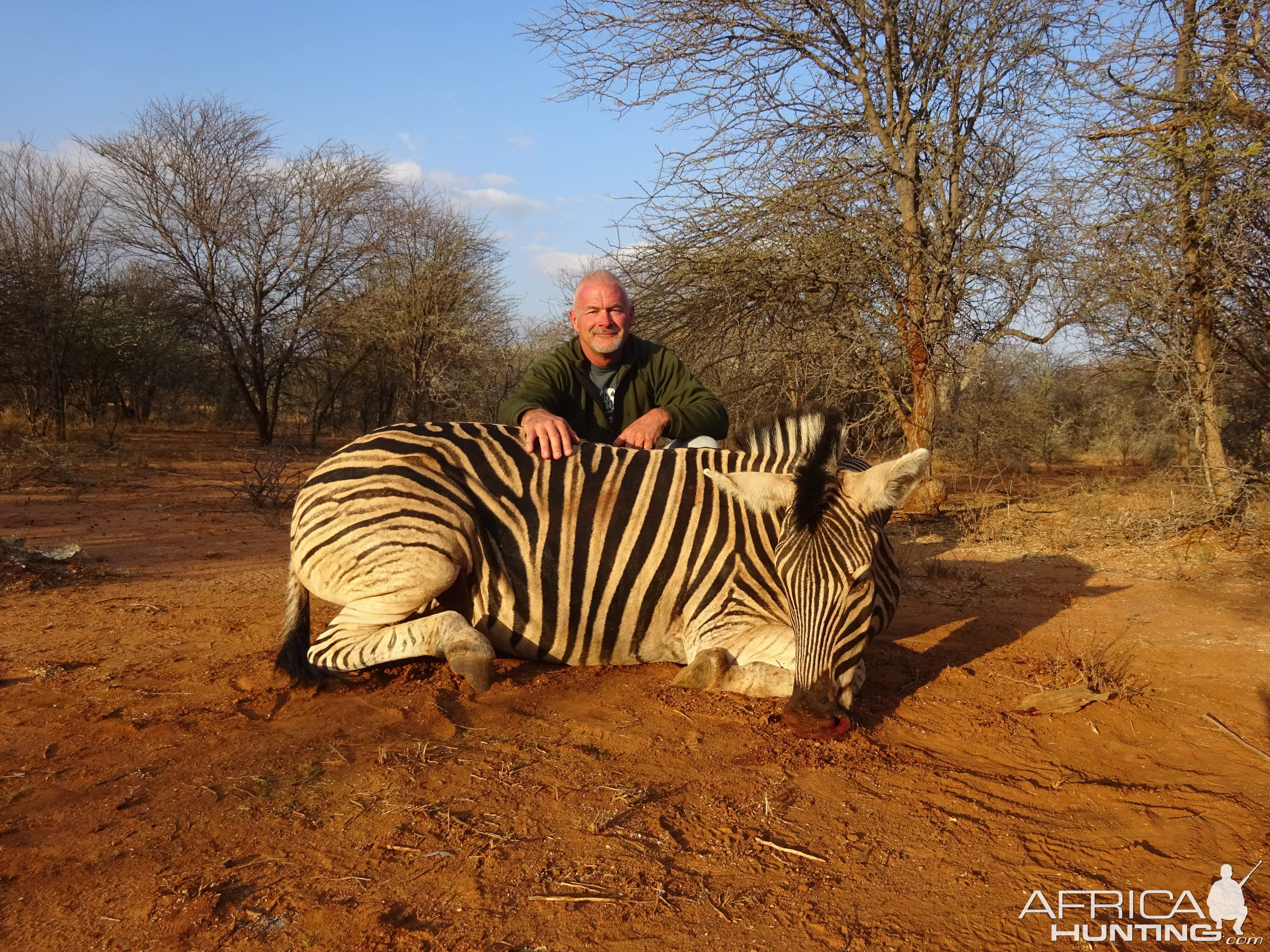 Bow Hunt South Africa Burchell's Plain Zebra