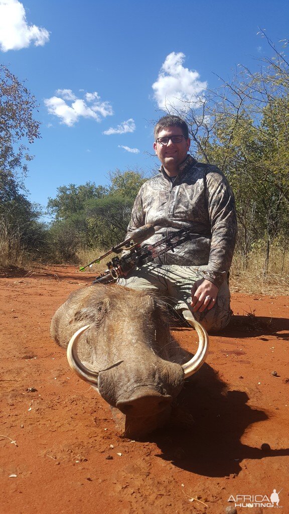 Bow Hunt Warthog in South Africa