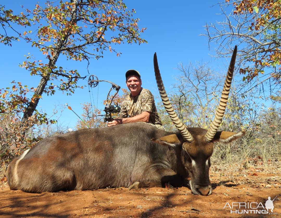 Bow Hunt Waterbuck in South Africa