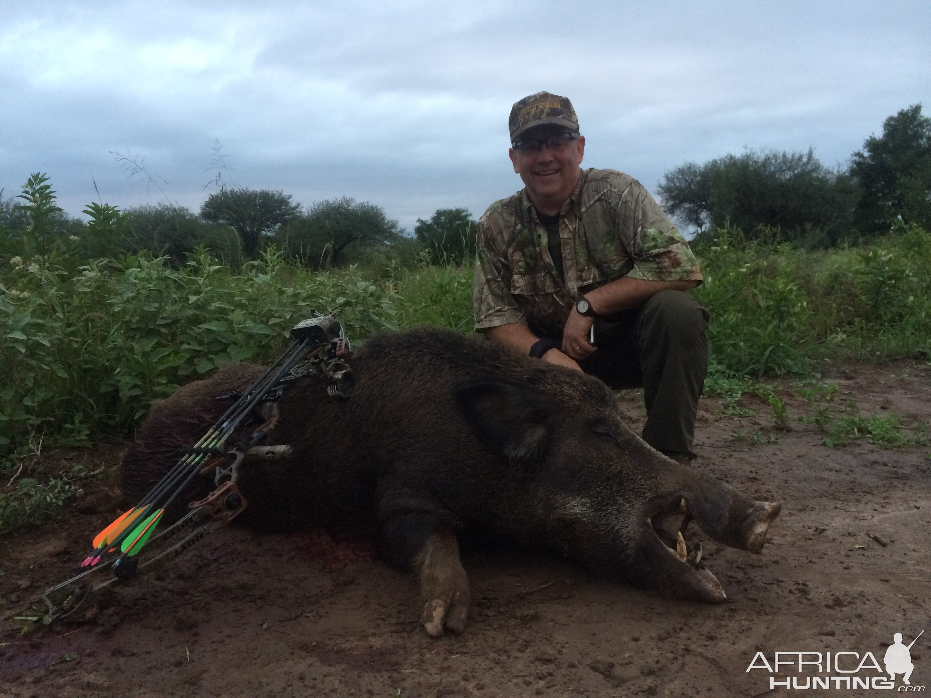 Bow Hunt Wild Boar in Argentina