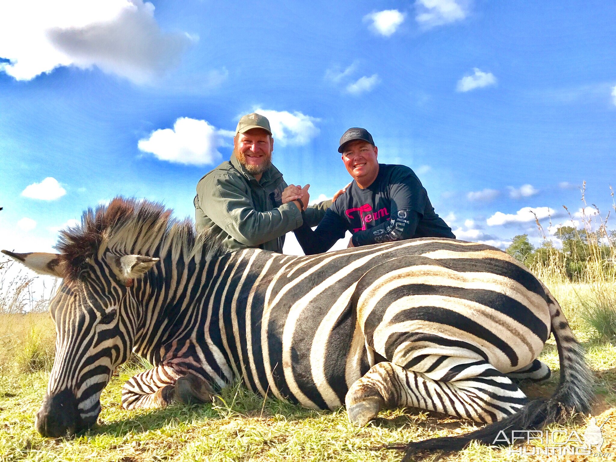 Bow Hunt Zebra in South Africa