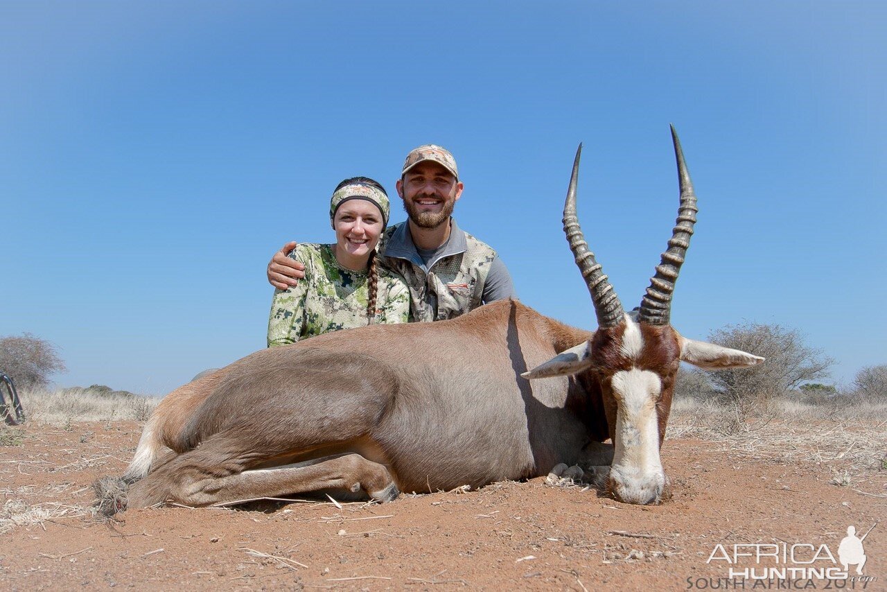 Bow Hunting Blesbok South Africa