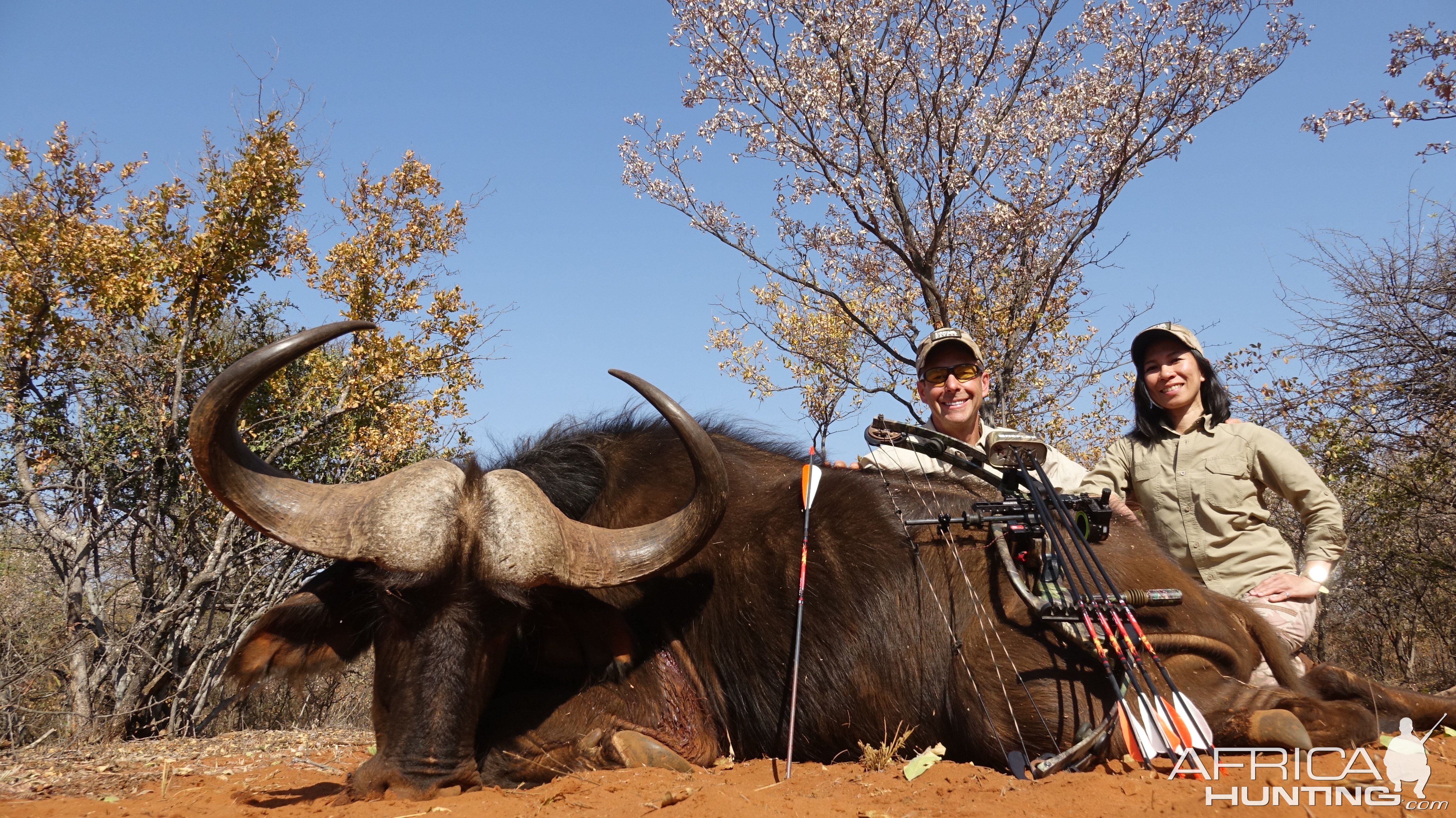 Bow Hunting Buffalo in South Africa