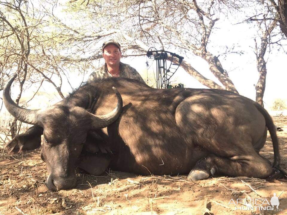 Bow Hunting Buffalo in South Africa