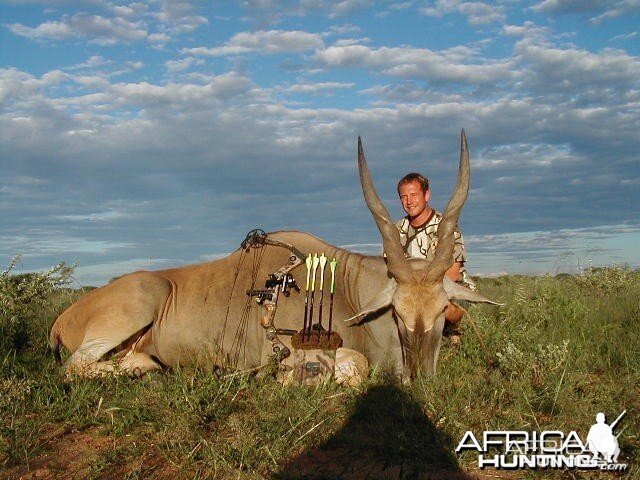 Bow Hunting Cape Eland in Namibia