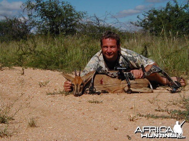 Bow Hunting Duiker in Namibia