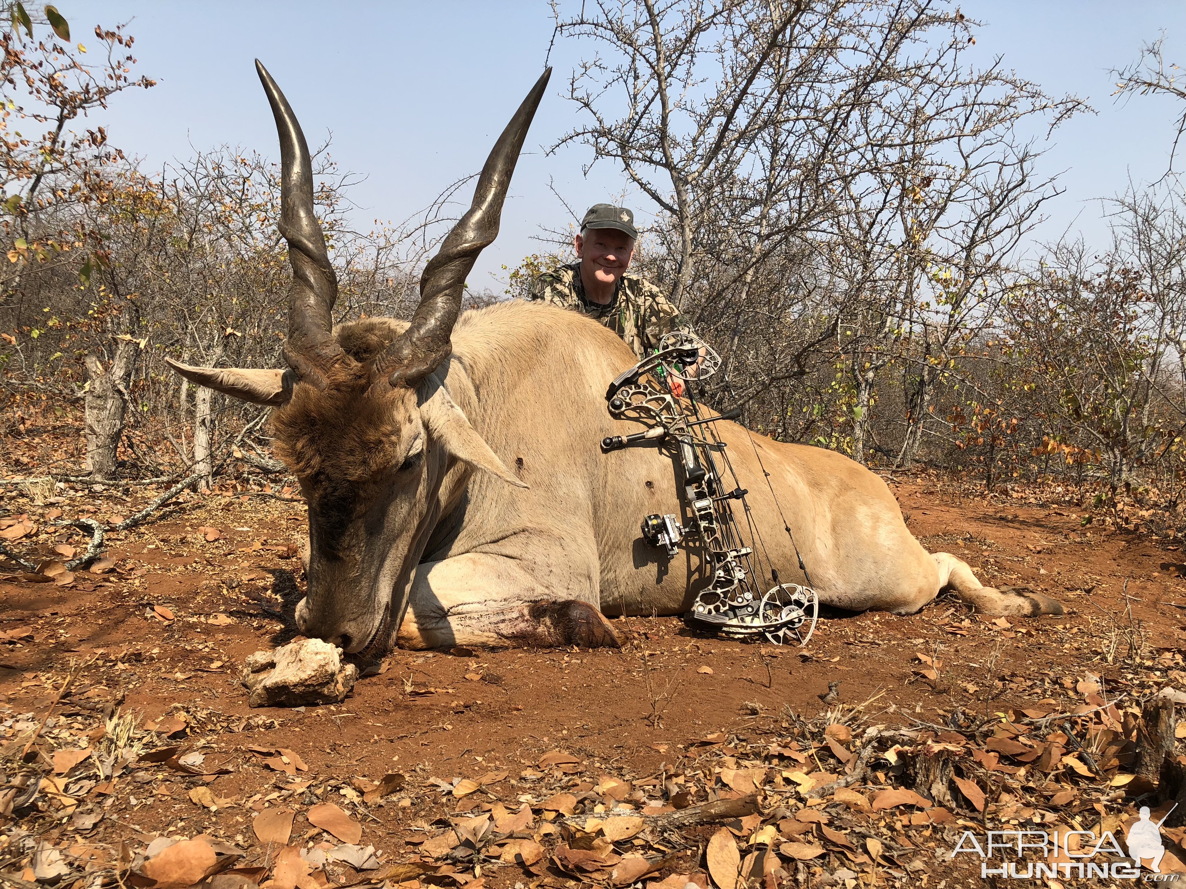 Bow Hunting Eland in South Africa