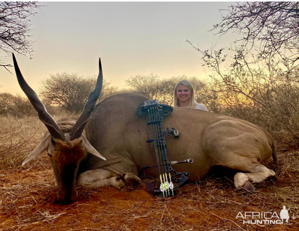 Bow Hunting Eland South Africa