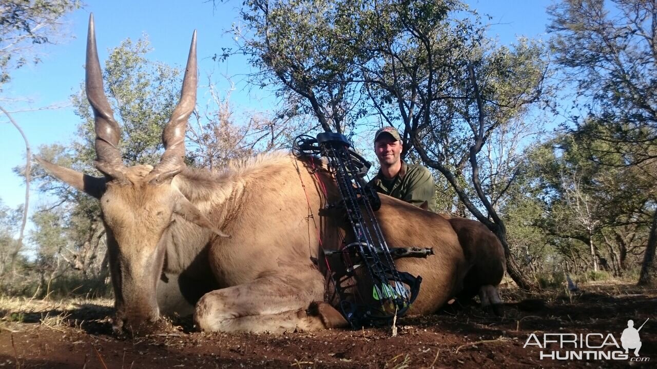 Bow Hunting Eland South Africa