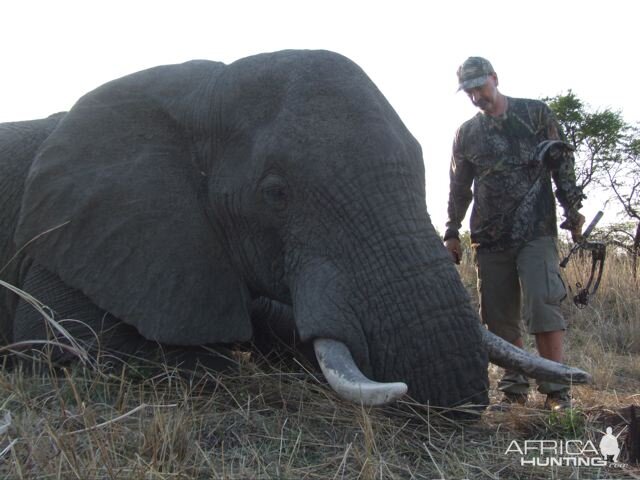 Bow Hunting Elephant | AfricaHunting.com