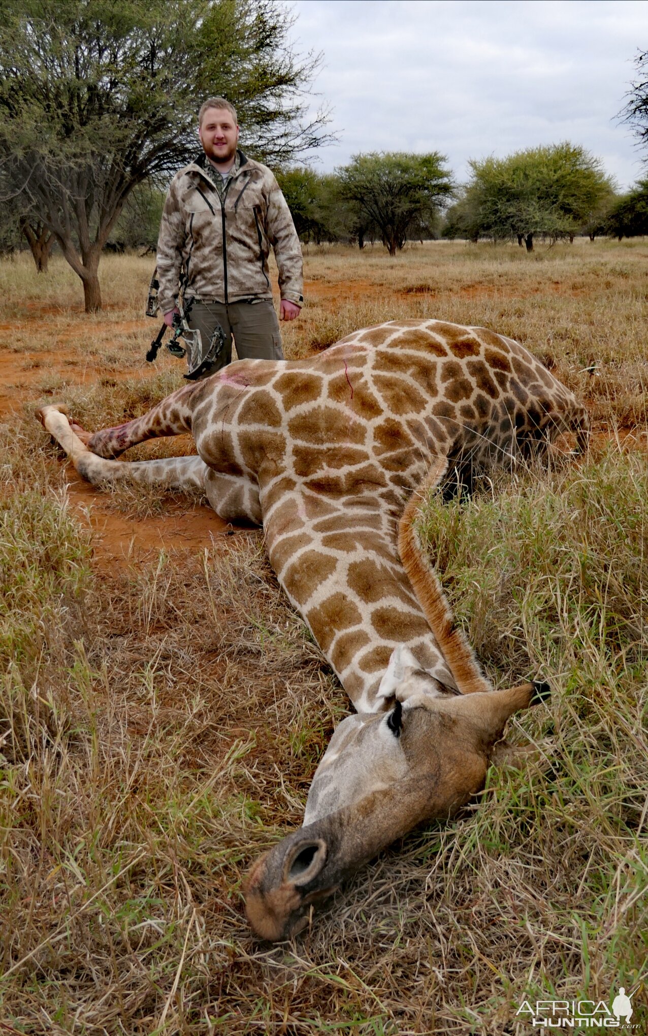 Bow Hunting Giraffe in South Africa